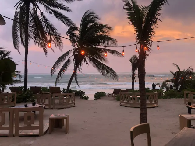 Goes to the Tropics